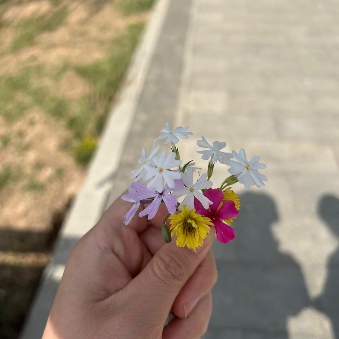 萌芽～