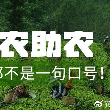 徐真诚助农