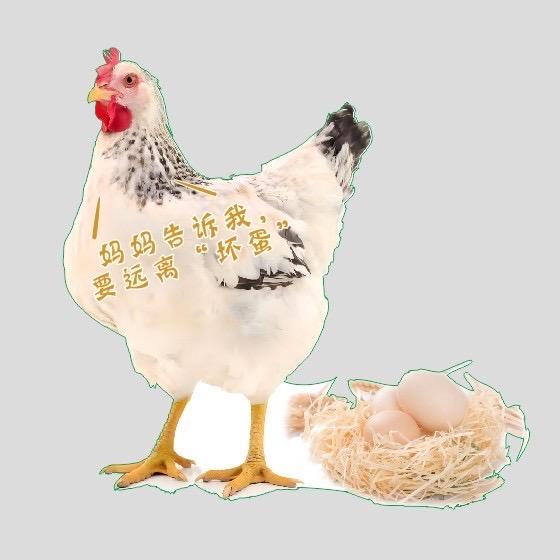 田毛毛～支持全国发货～小号