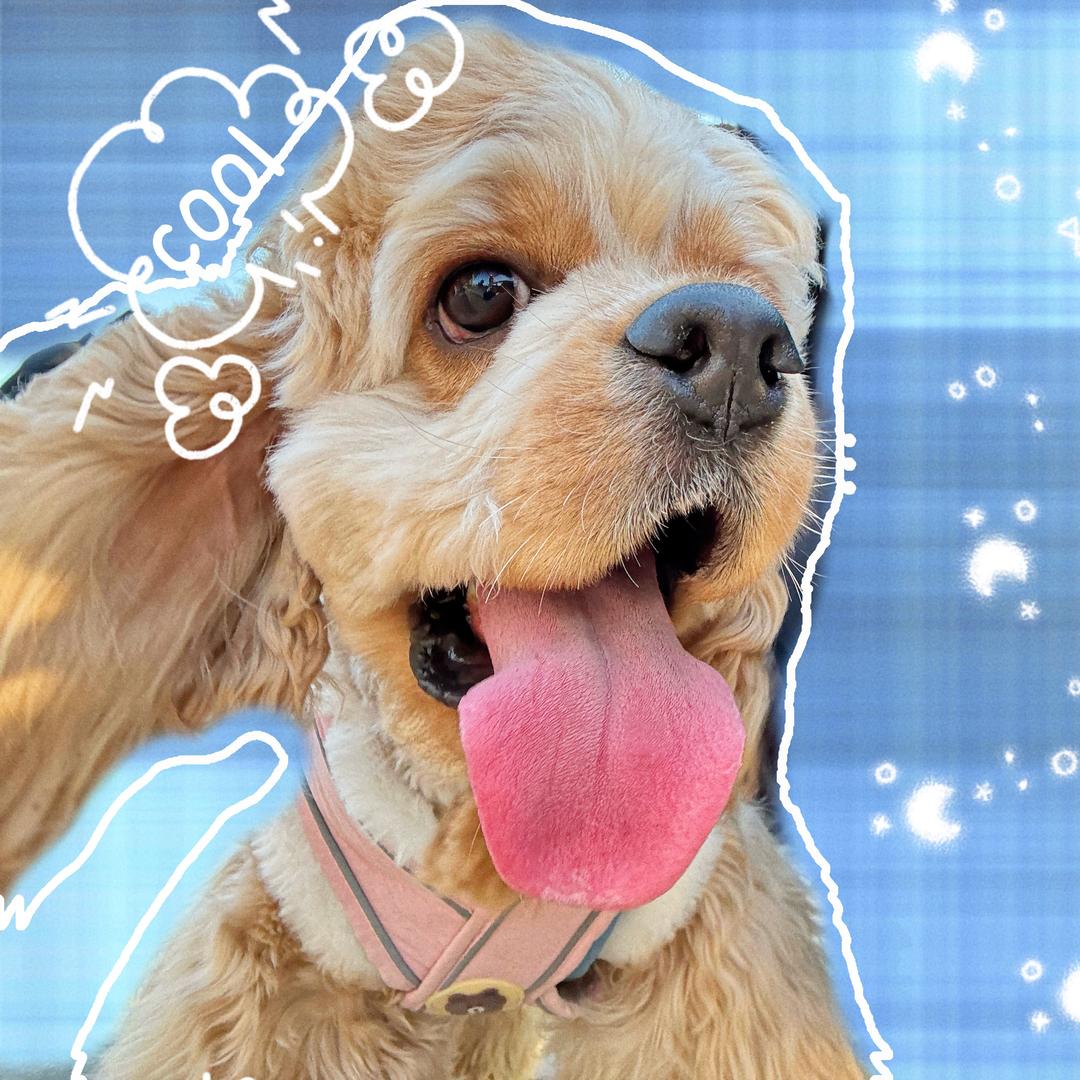 🌈🌈冰冰不冰🧊