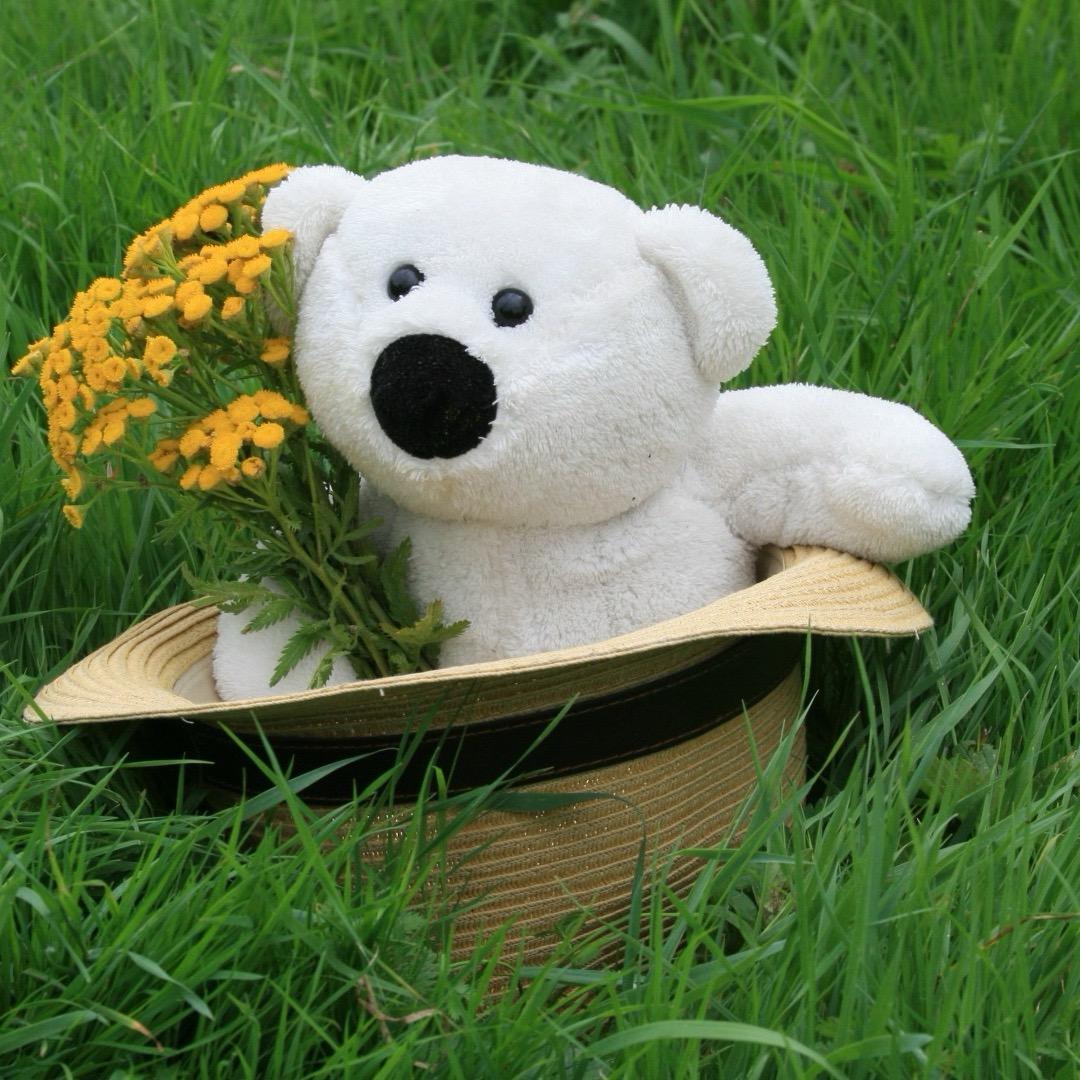 💕骚习./立正--