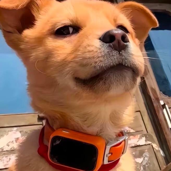 叨了个叨(￣ー￣)