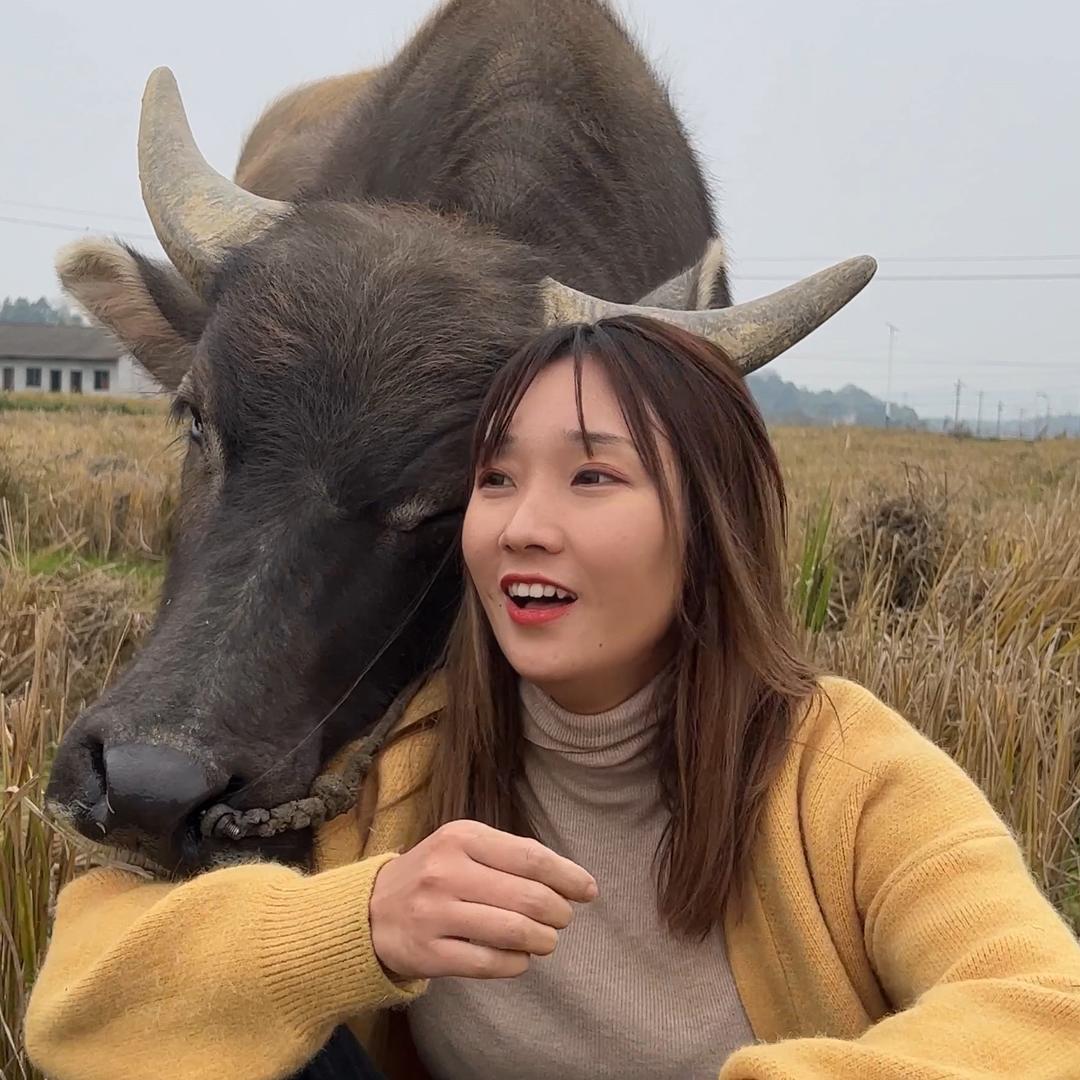 小清妹儿