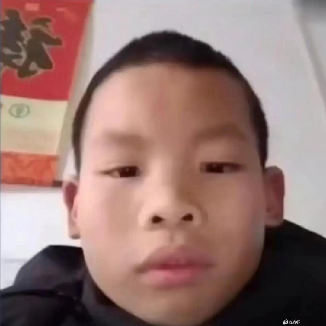 AAA金雷竹批发林总