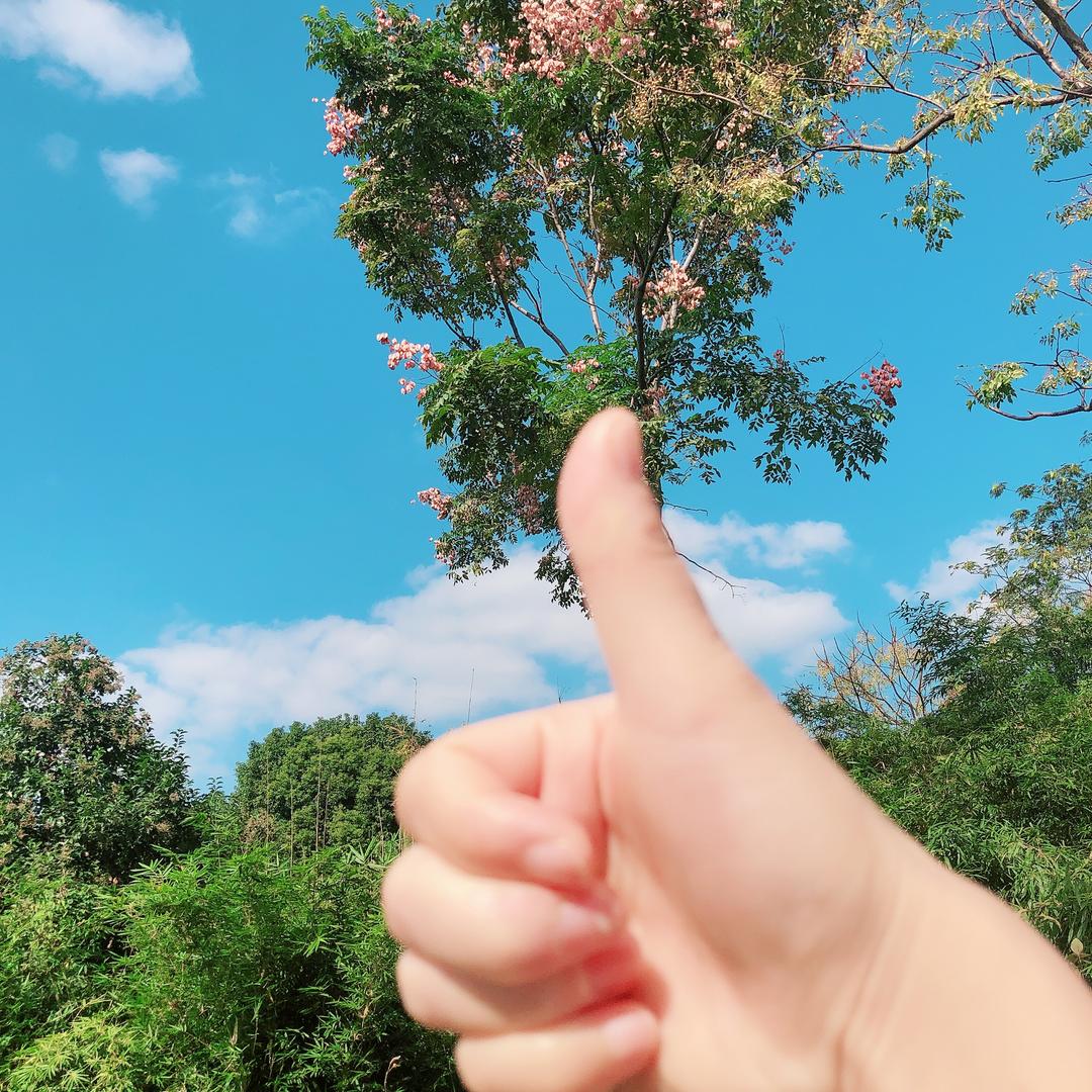 星雨心愿