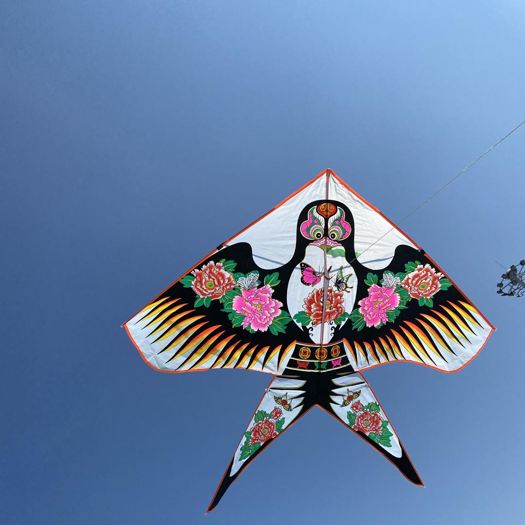 心选风筝