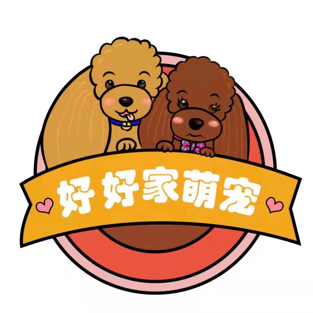 好好家萌宠