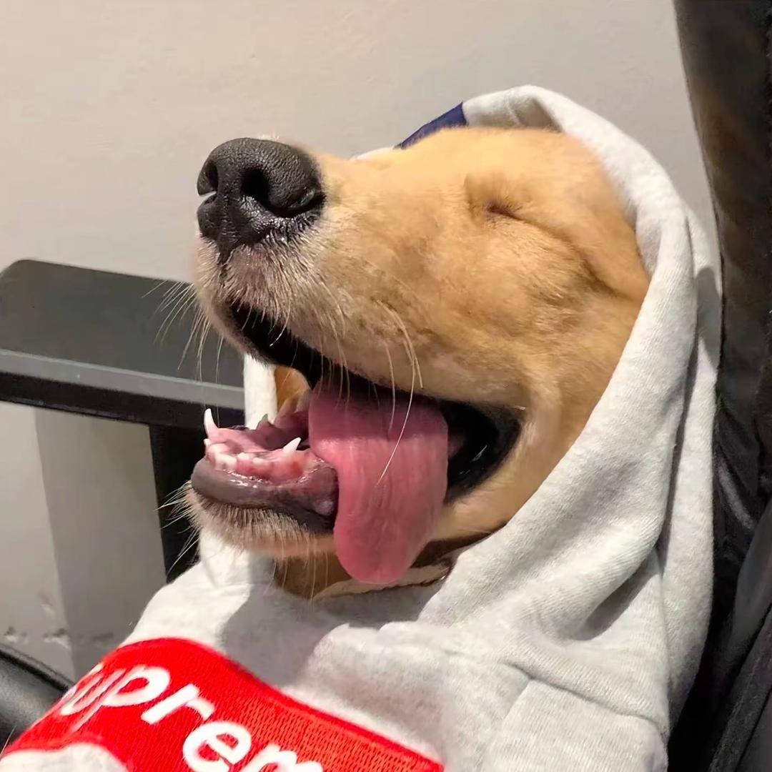 啊兴（收快递版）