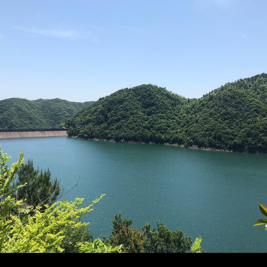 吃萝卜的小兰