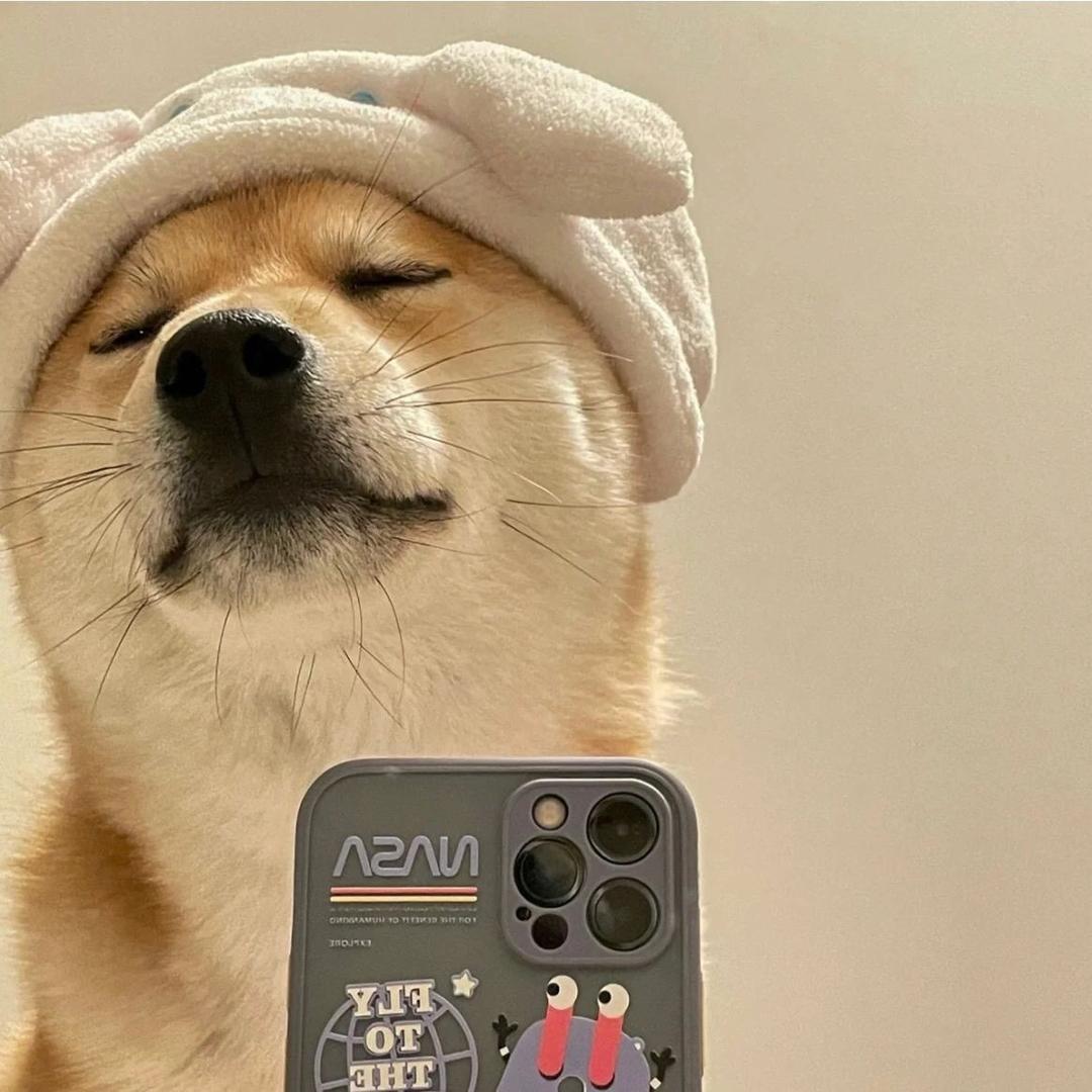 偏爱快乐水