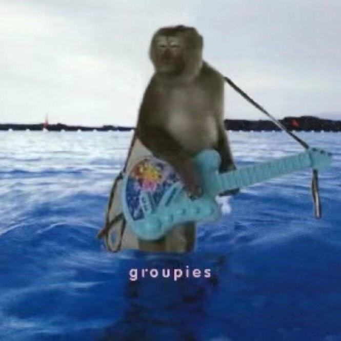 泡面为什么不是卷发