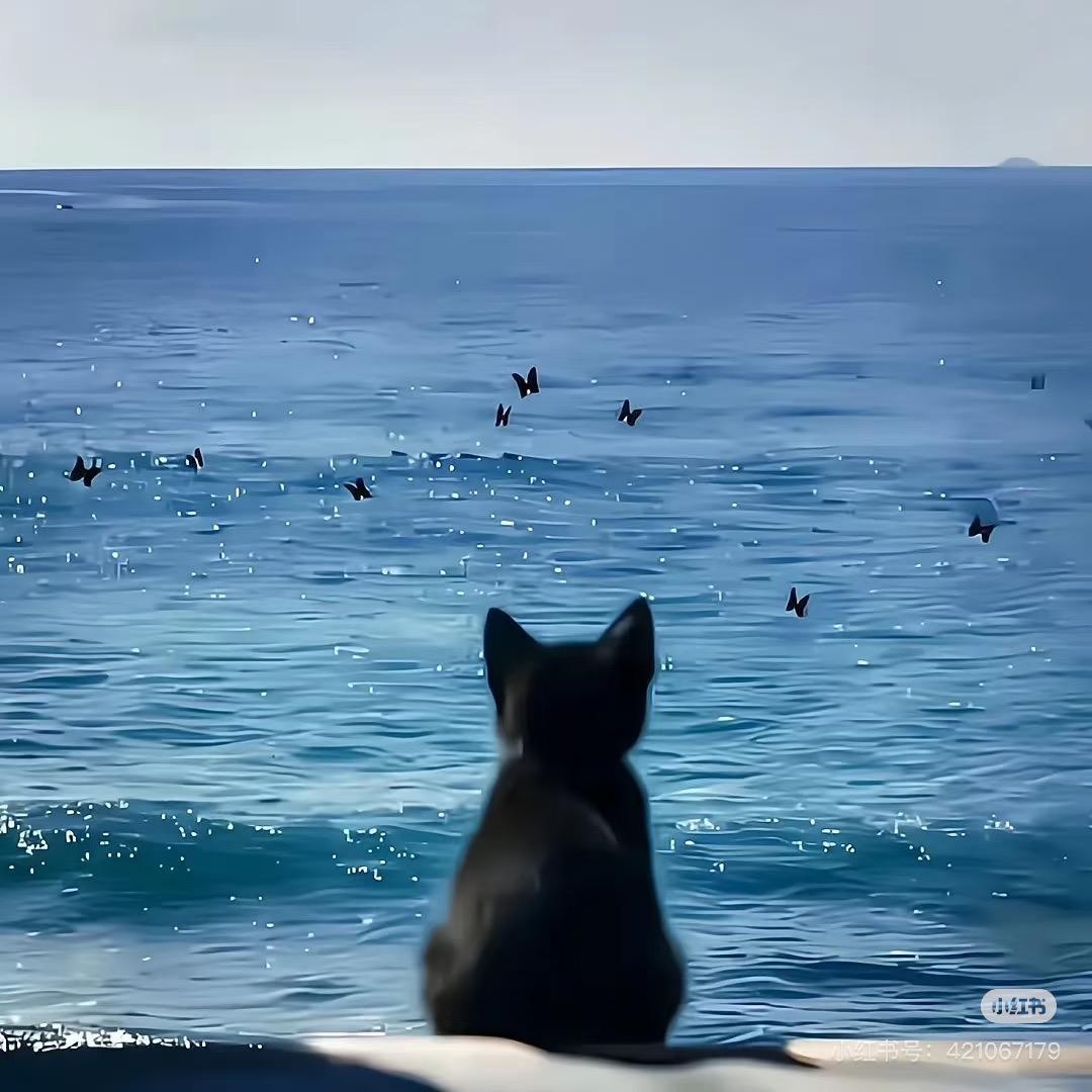 我是猴哥呀！