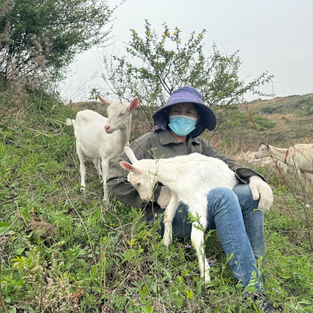 陕秦美可牧场