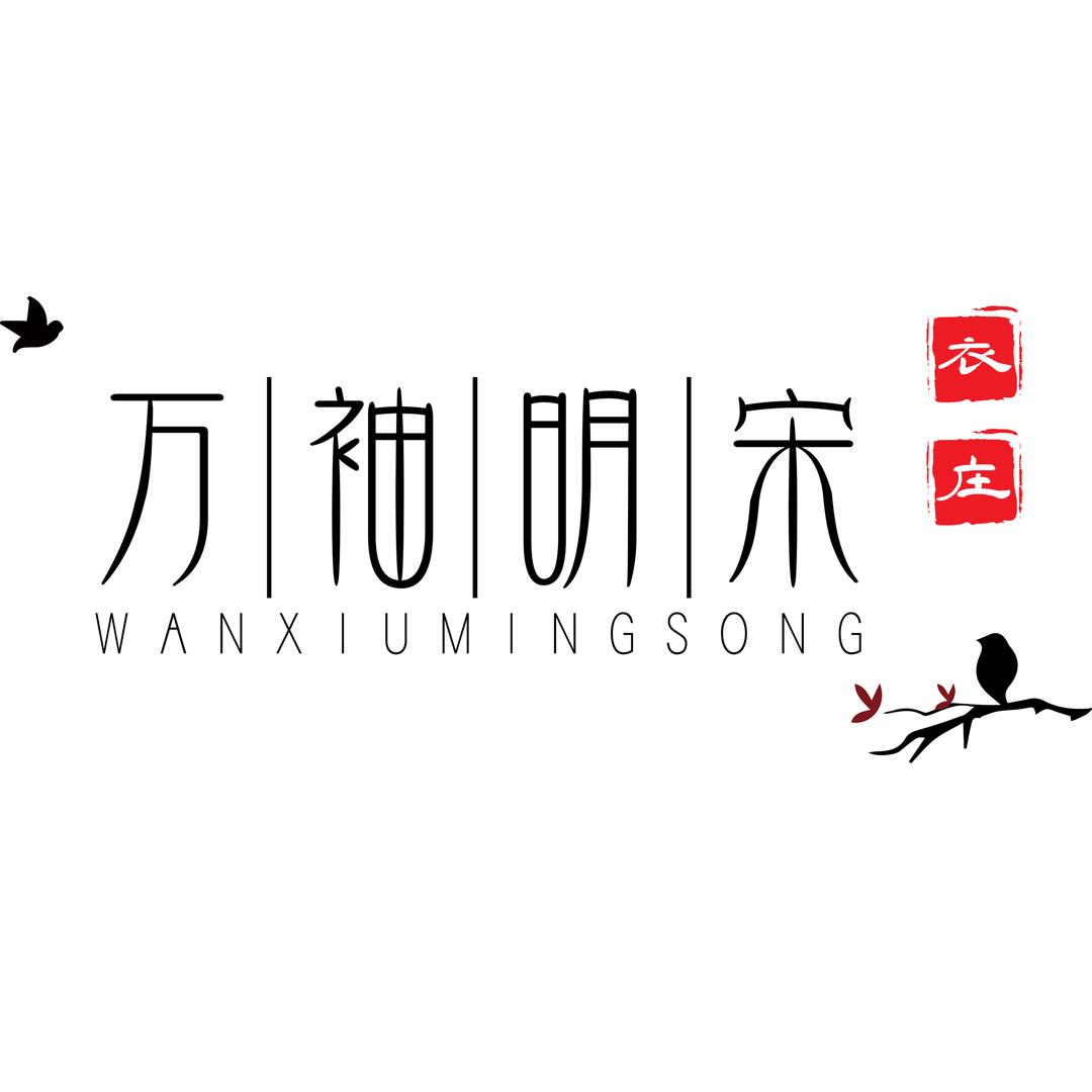 万袖明宋国风