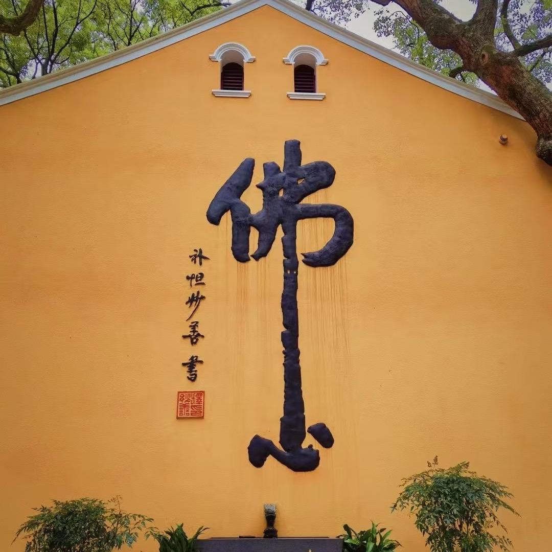 佛缘阁🪷☯️～大宝