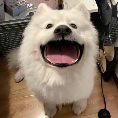 -每天都好困^