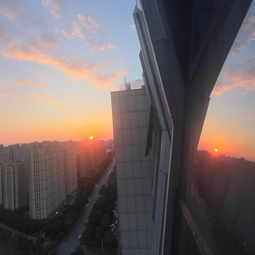仙人掌