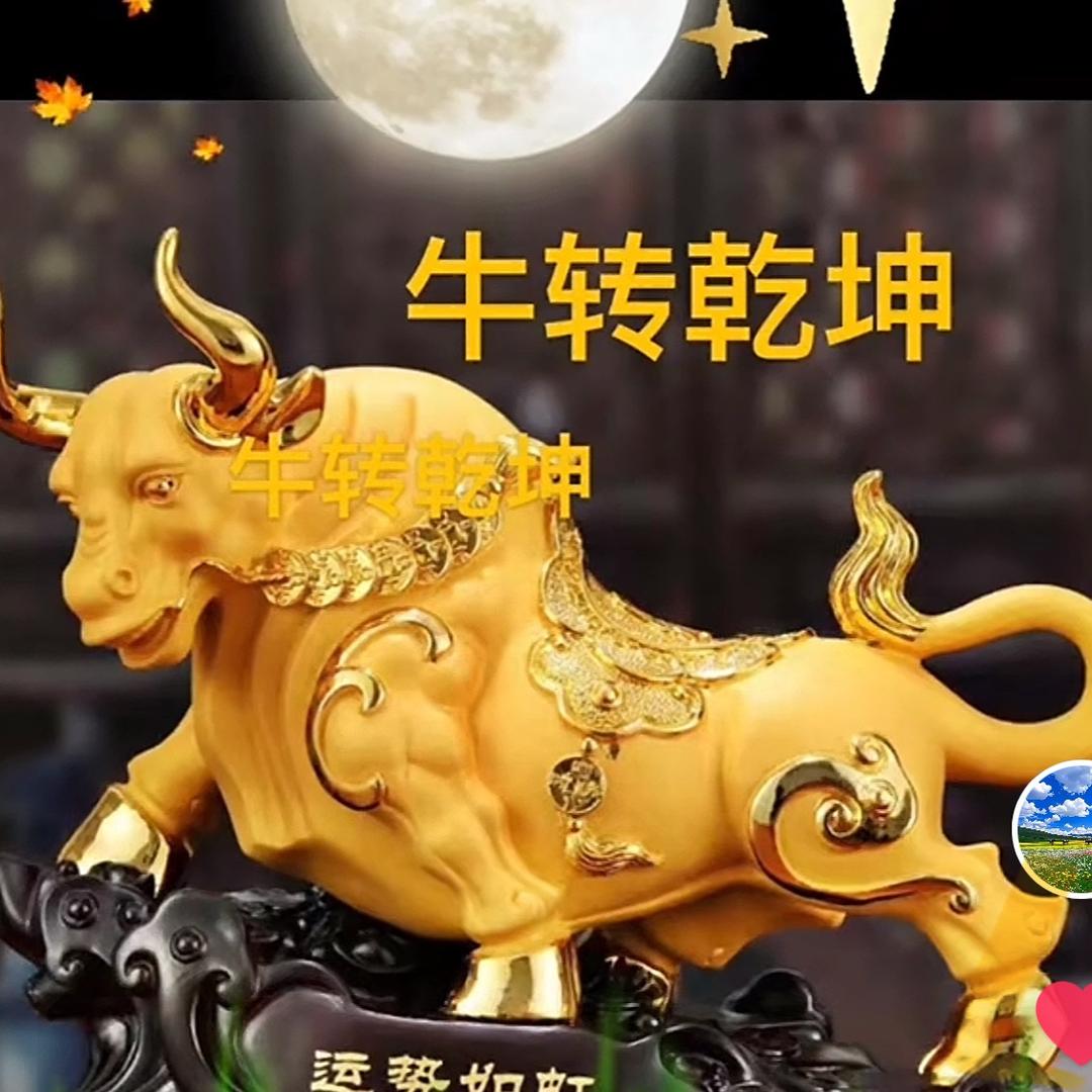 众鑫聚