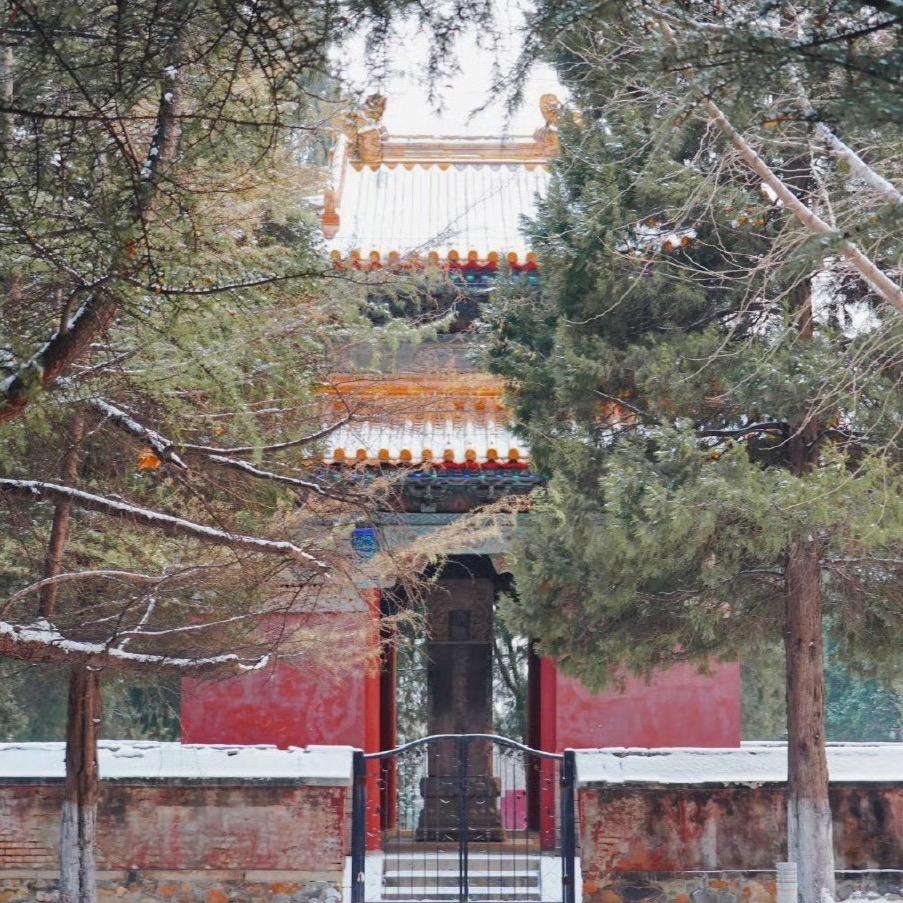 青山