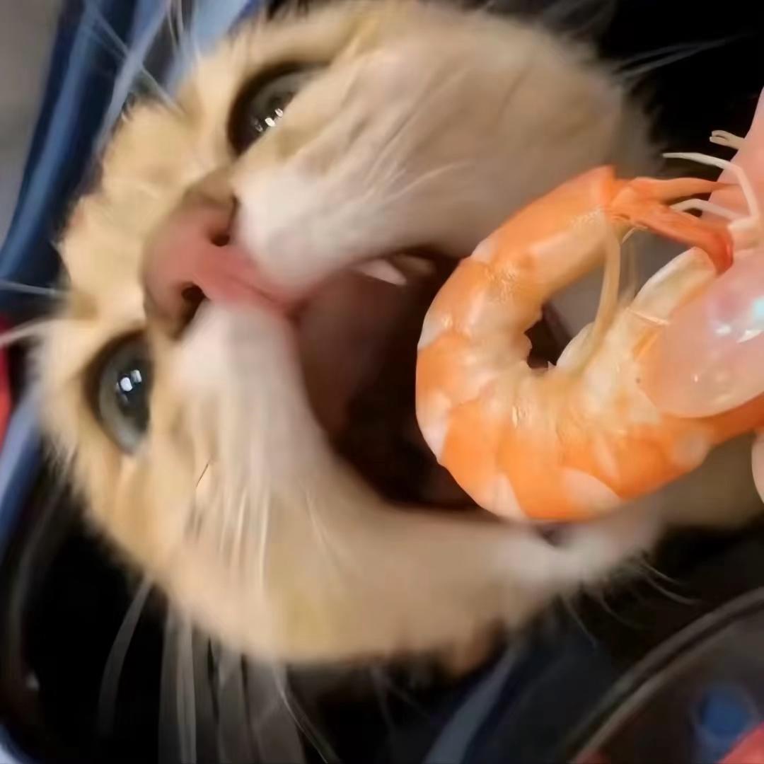 可可