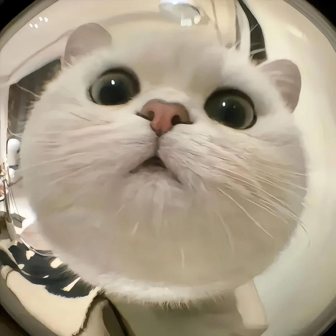 宫主