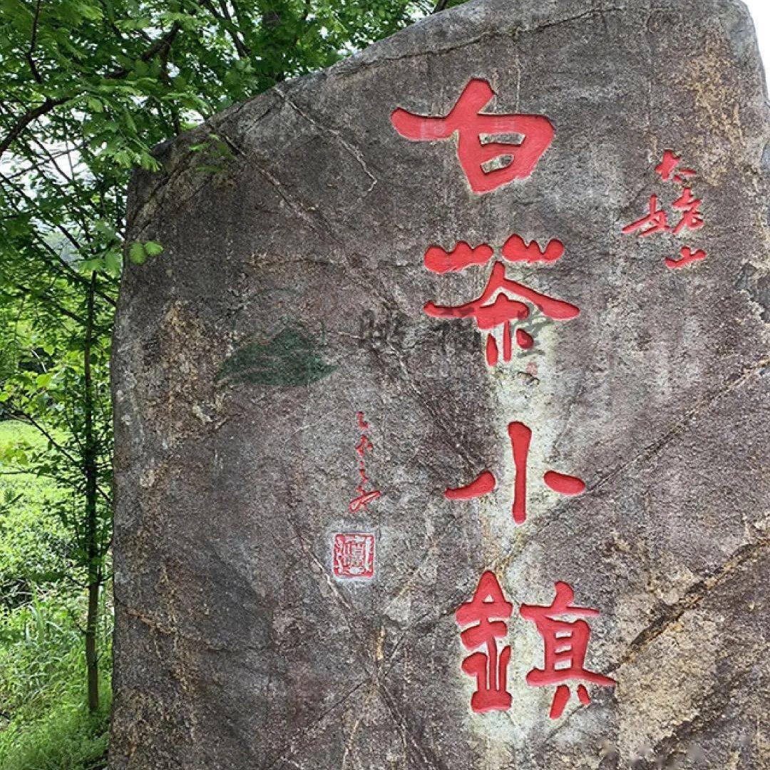 匠人有道-福鼎原产地白茶