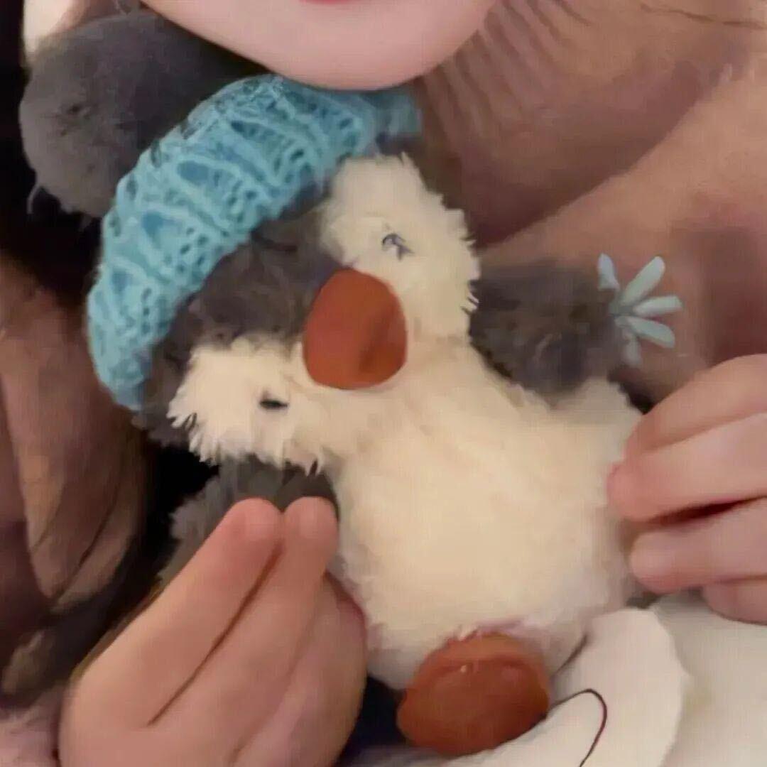 不会翘头的阿刘🐶