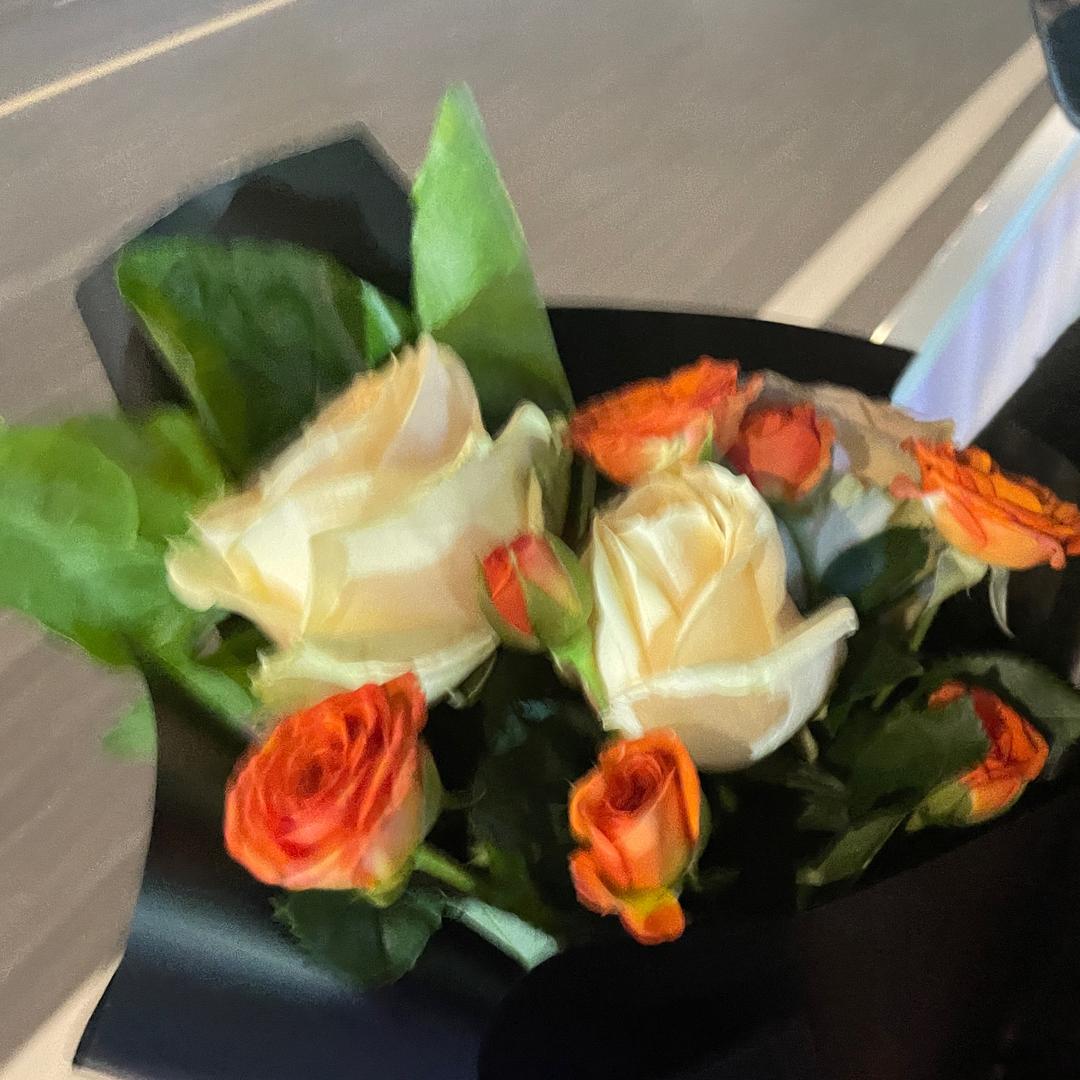泡芙¥