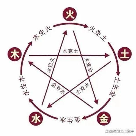 向阳花🌻