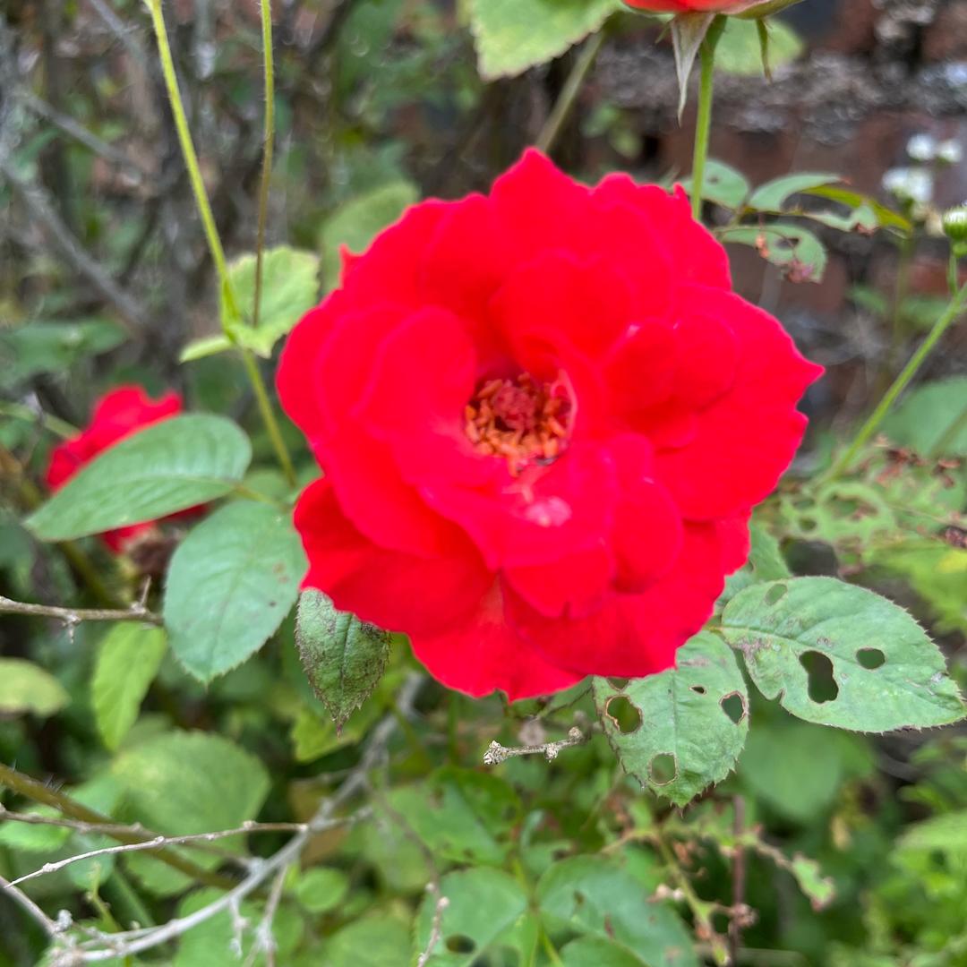 不忘初心，满怀爱心