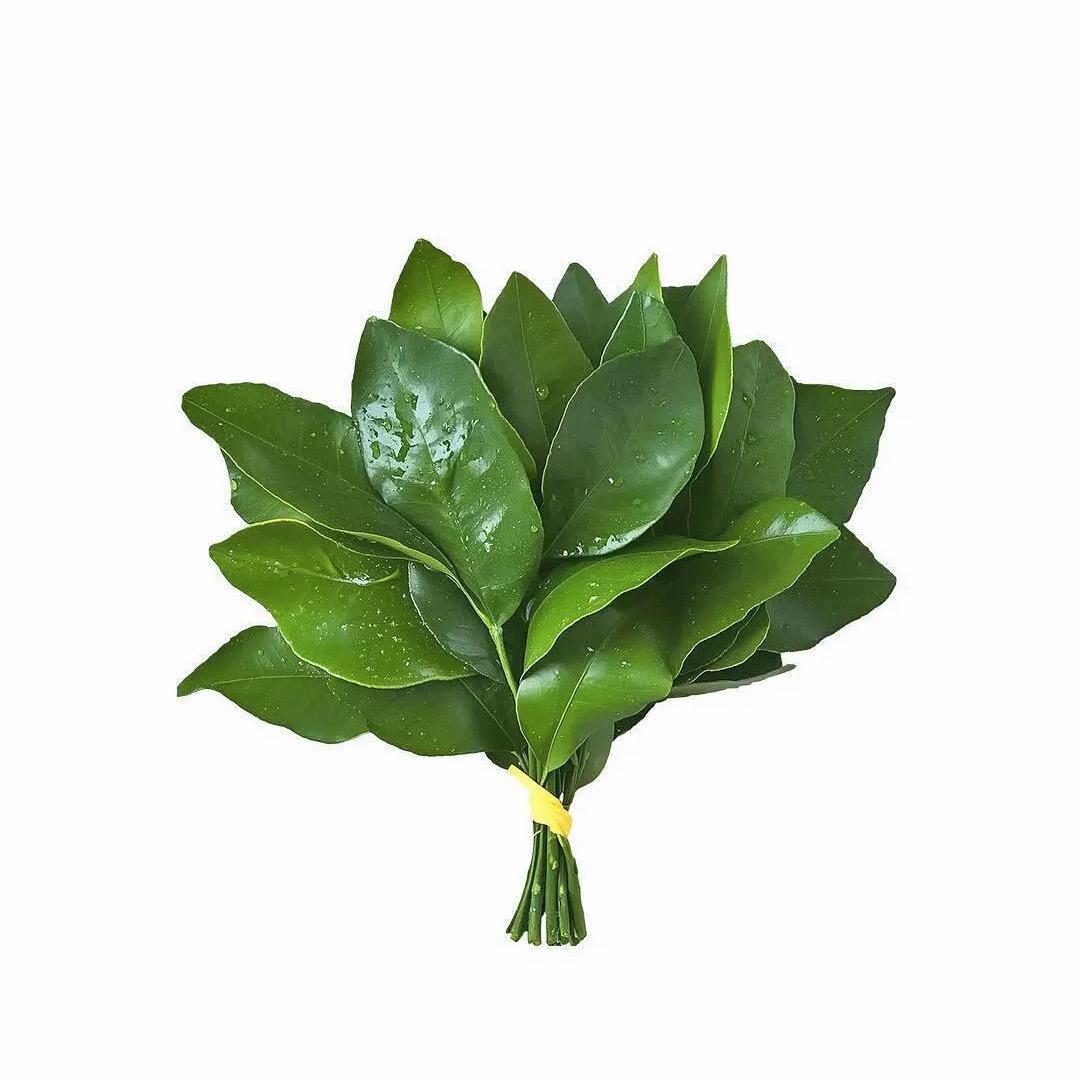 小石榴