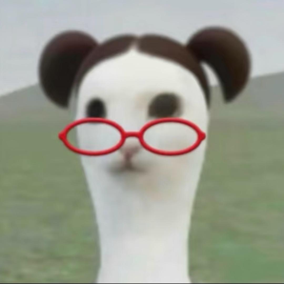 一个普通的美女