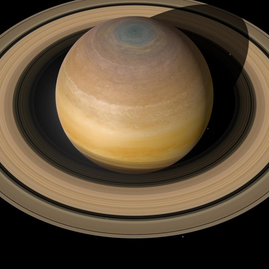 🔥粉丝一千万种草