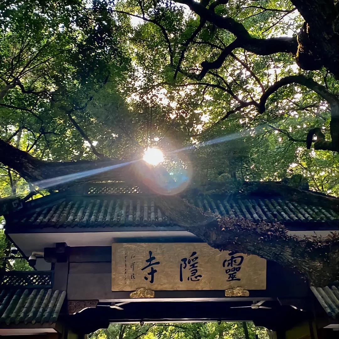 Xiao发哥