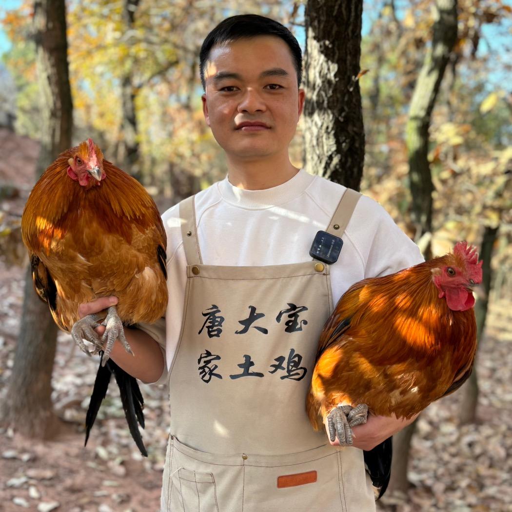 肥西黄油老母鸡（唐大宝）