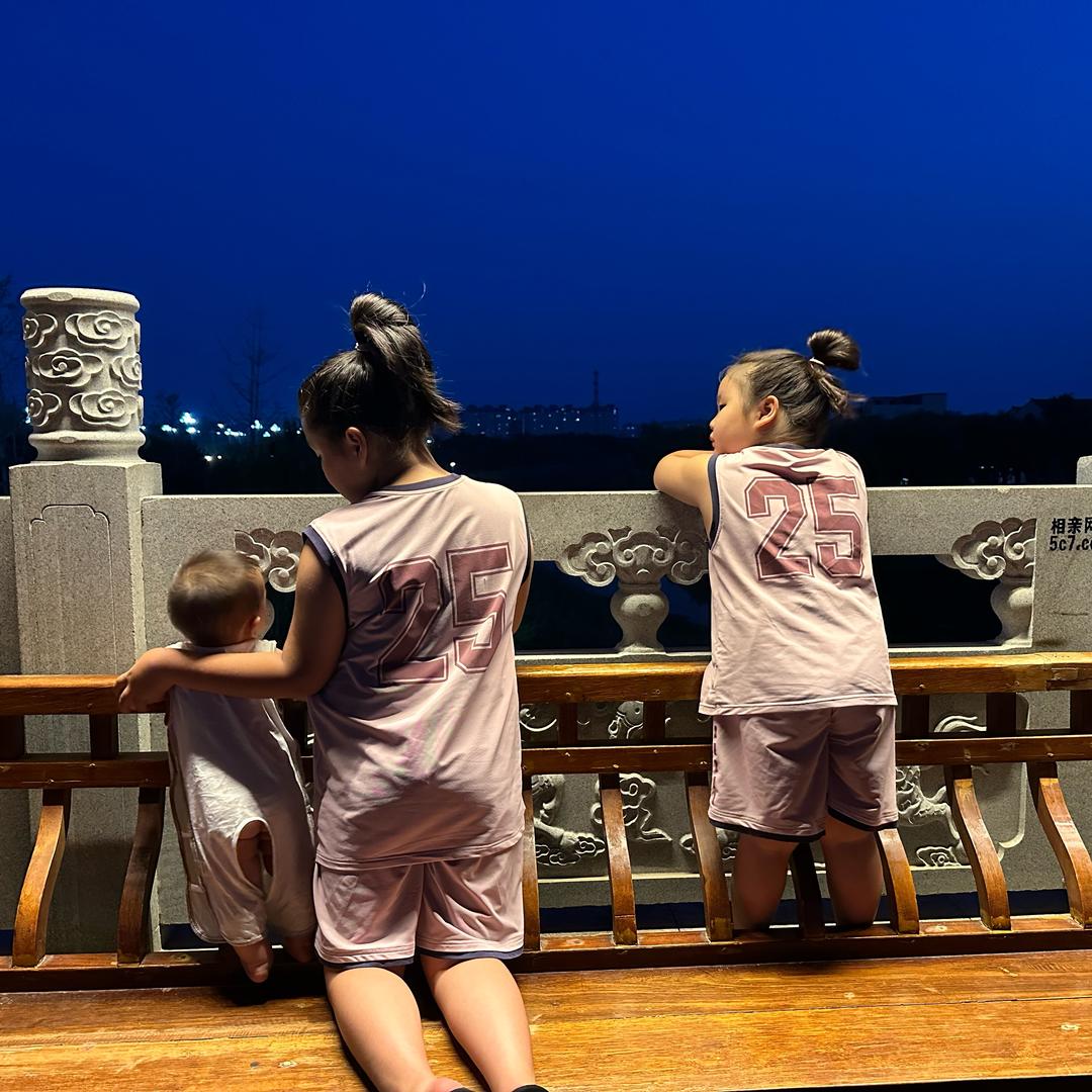 🐵阿丽叶、🐭阿米娜、🐉赛尔德