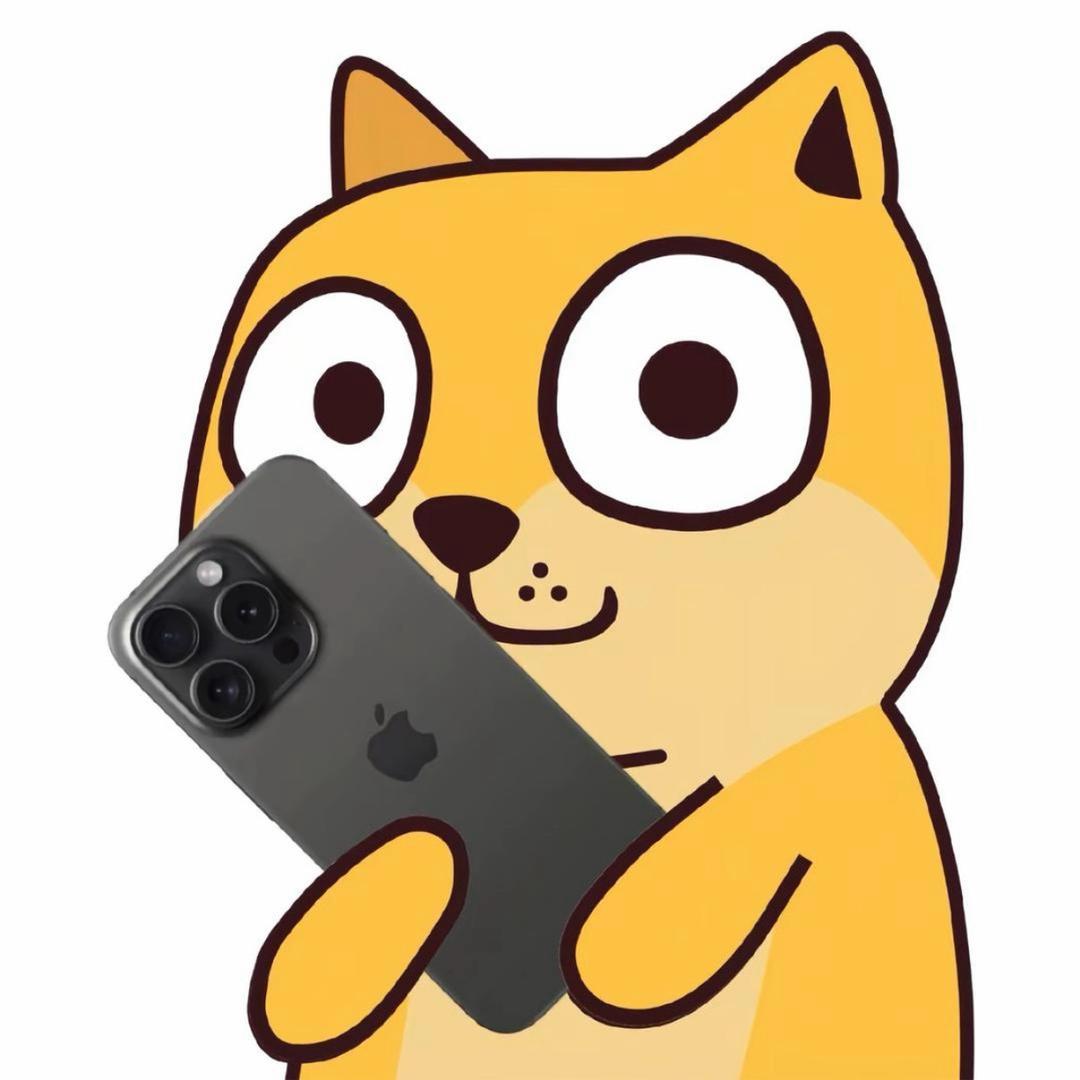 小黄慌慌