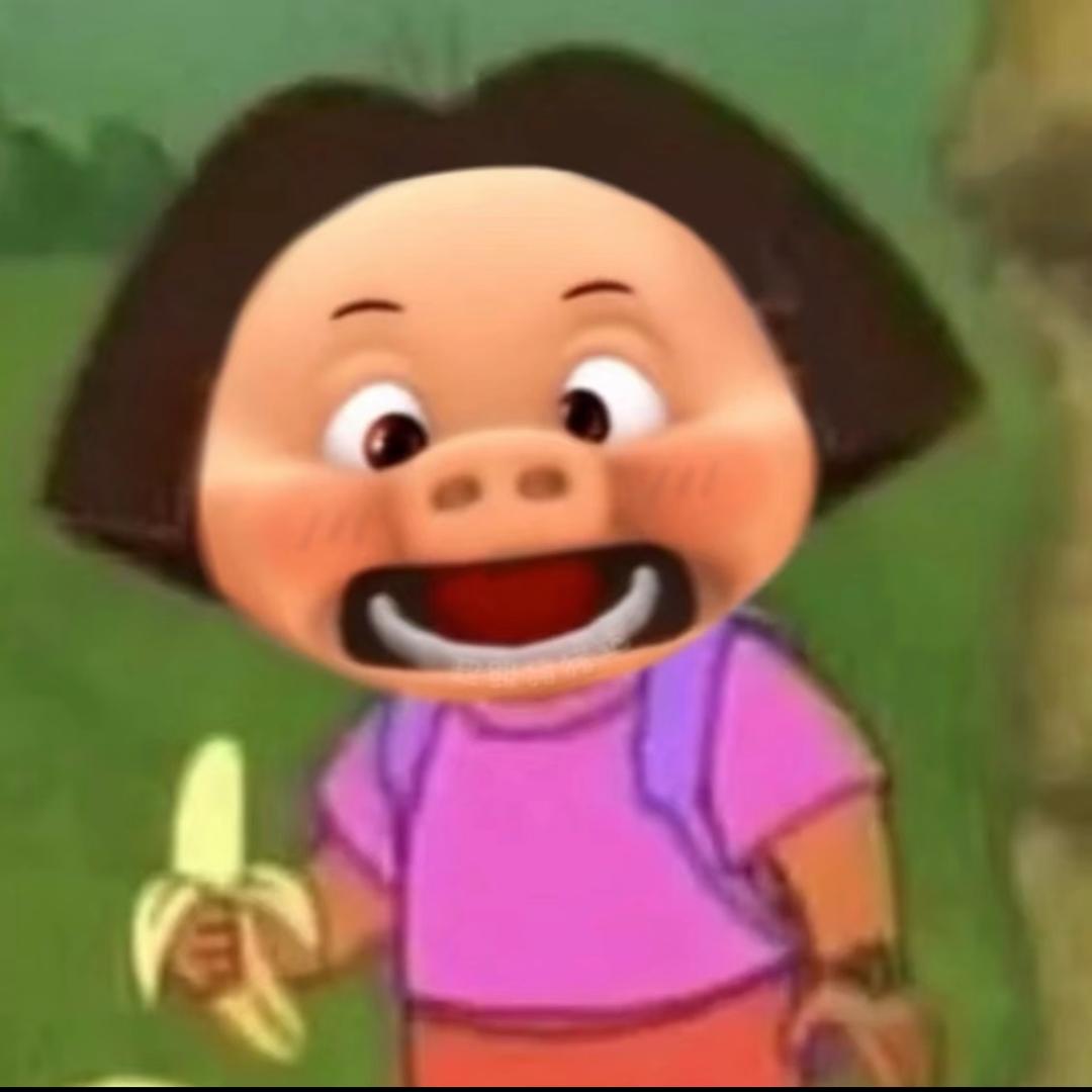 花儿为什么那样红