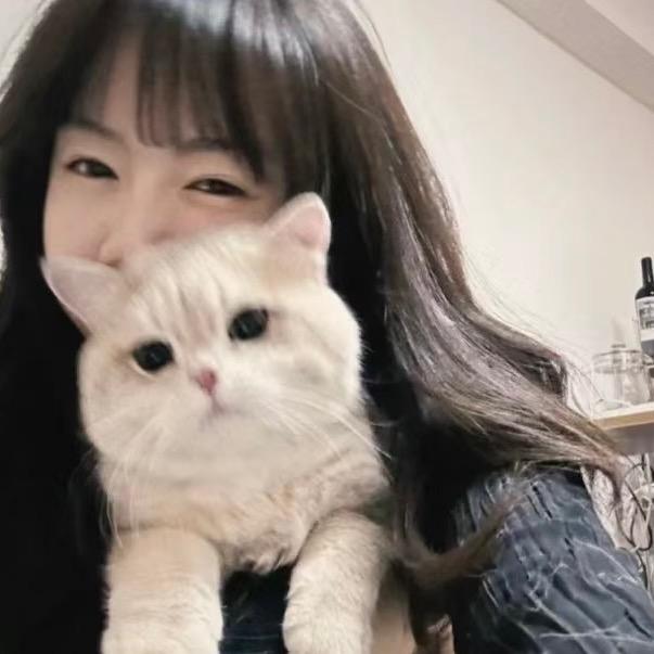 你也喜欢小猫吗