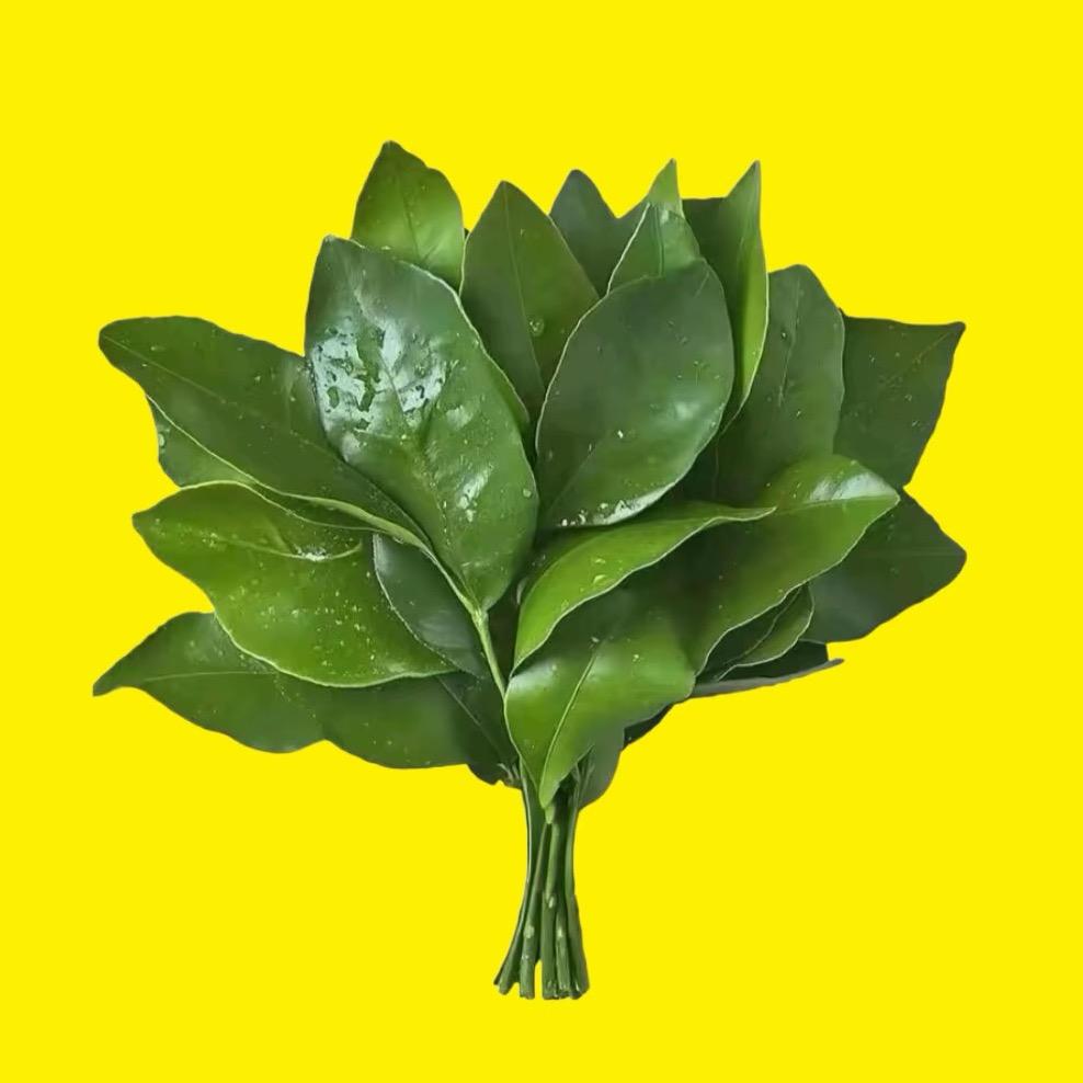 漫曼漫