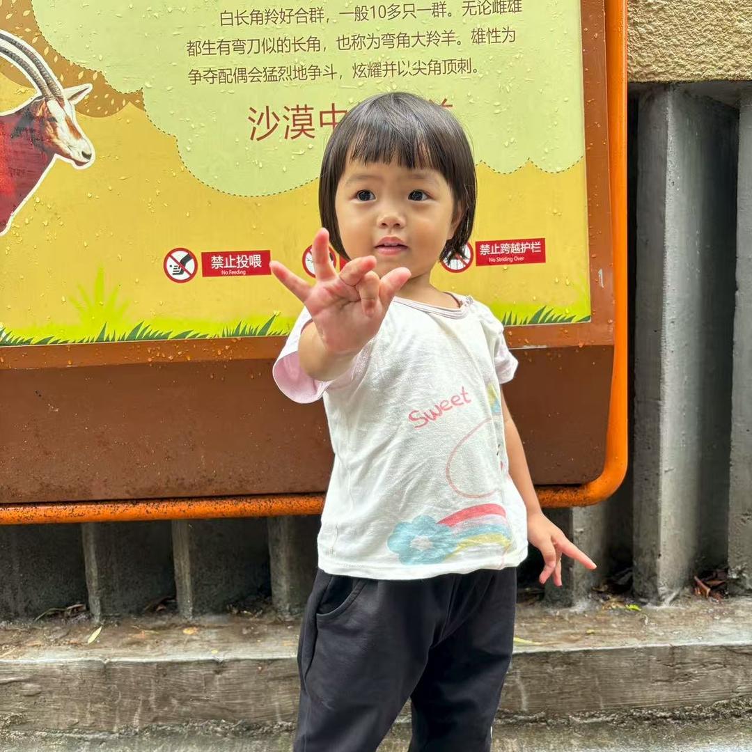 小钟爱收藏