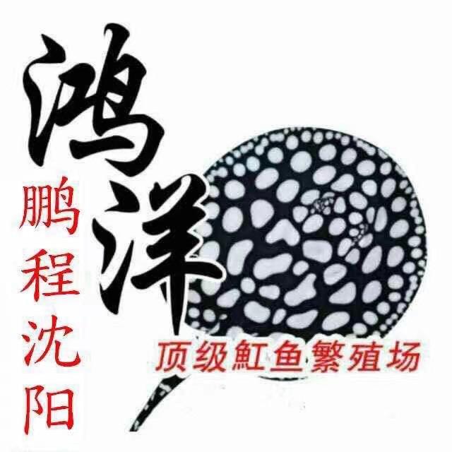 鸿洋·沈阳鹏程渔场
