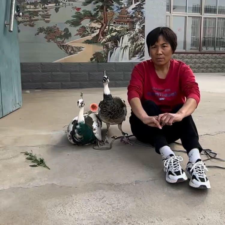 萍姐特种养殖场