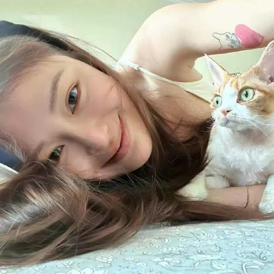 蛋挞小包