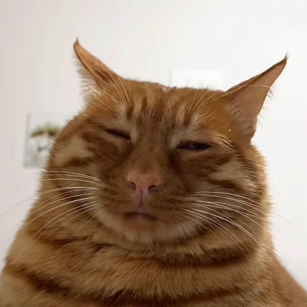 小咪大王