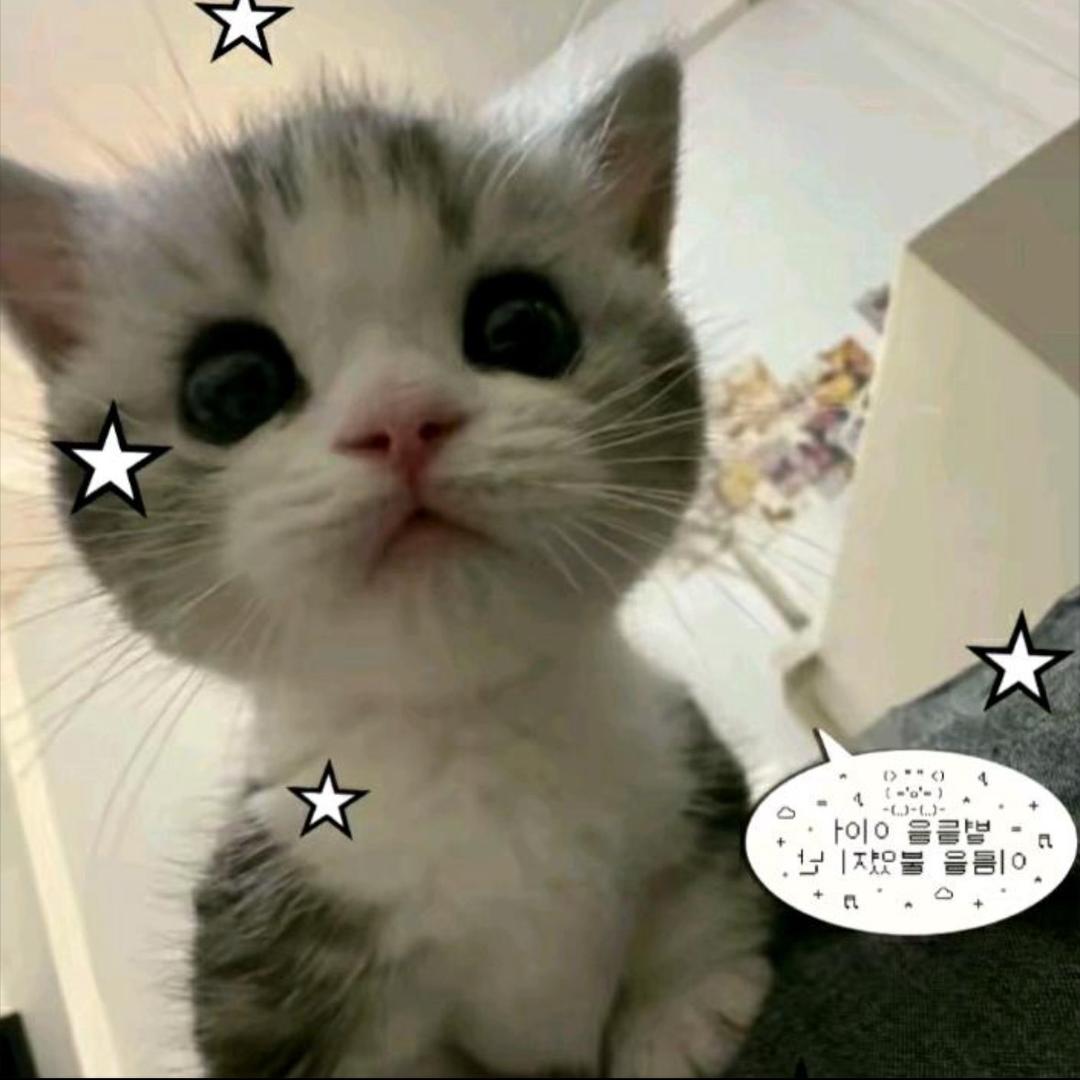 小悦baby