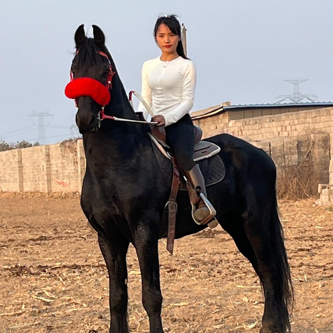 养马场小蒋
