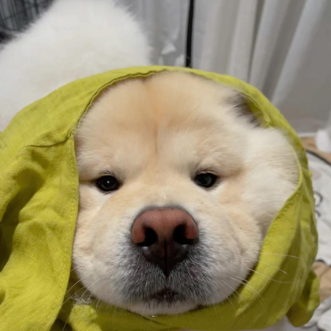 Z.弟弟