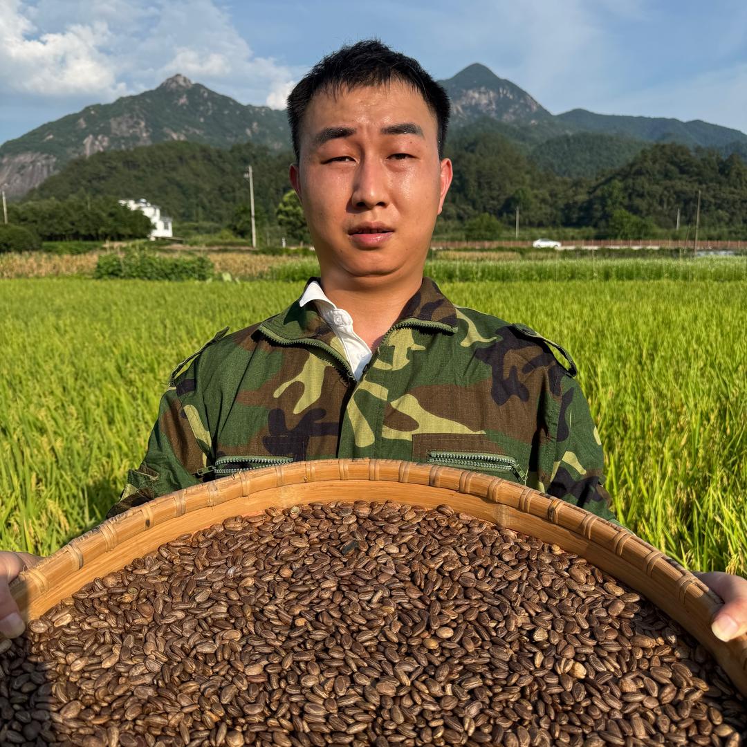大山里的阿东