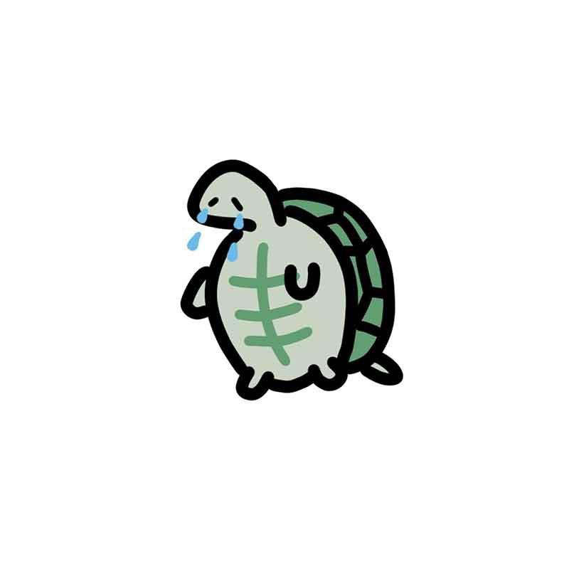 给鹏鹏买匹飞